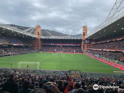Luigi Ferraris Stadium