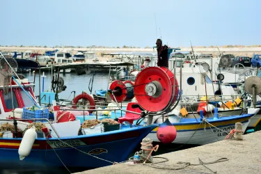 Zygi Marina