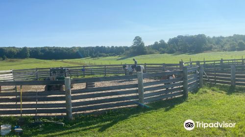 Winding Fences Farm