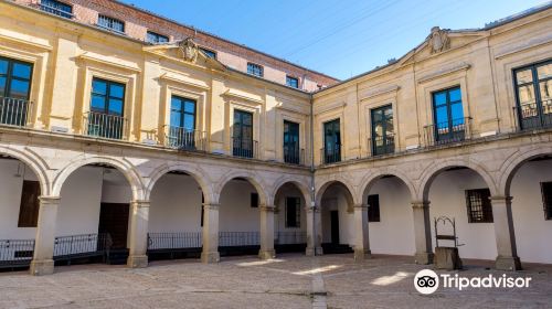 Museo Palacio Episcopal