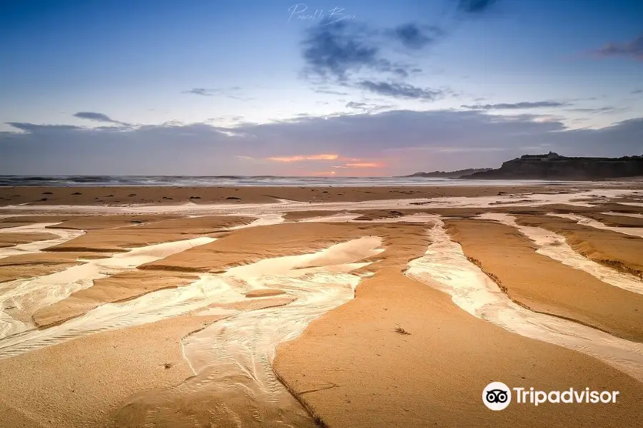 Plage de Bellangenet