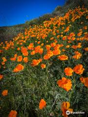 Walker Canyon Trailhead