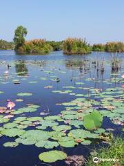 Rayong Botanical Garden (Aquatic Plants and Living Collection)