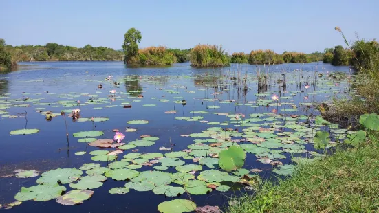 สวนพฤกษศาสตร์ระยอง-บริการนักท่องเที่ยว (Visitor Center of RAYONG BOTANIC GARDEN)