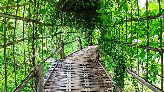 Kho Ku So Bamboo Bridge