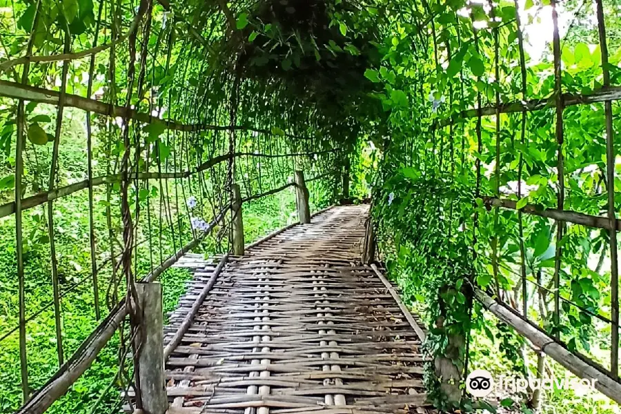 Puente de bambú