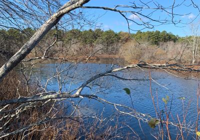 Quogue Wildlife Refuge