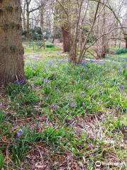 North Cliffe Wood Nature Reserve