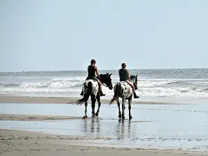 Amelia Island State Park