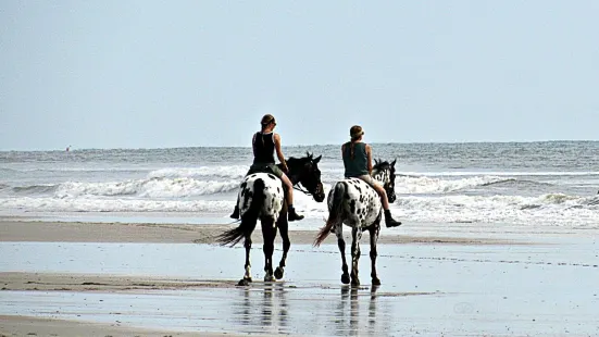 Amelia Island State Park