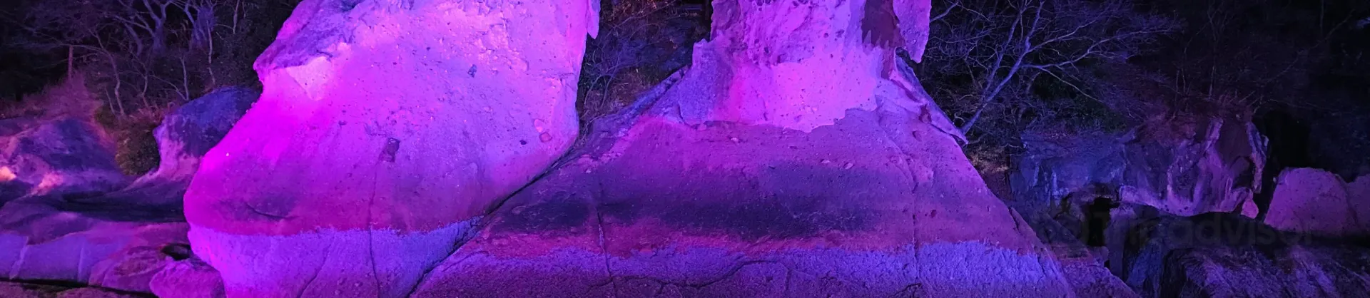 Night Attractions