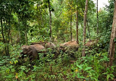 Elephant Conservation Center