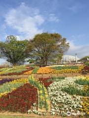 山梨縣笛吹川水果公園