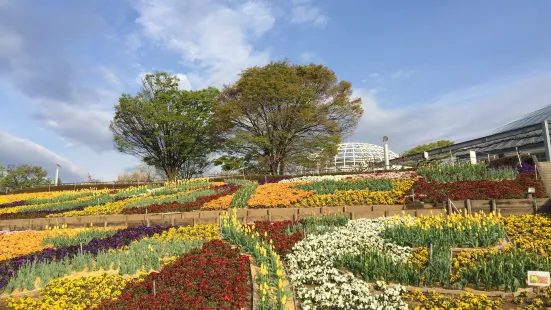 山梨縣笛吹川水果公園