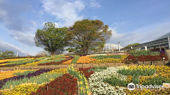 Yamanashi Fuehukigawa Fruit Park