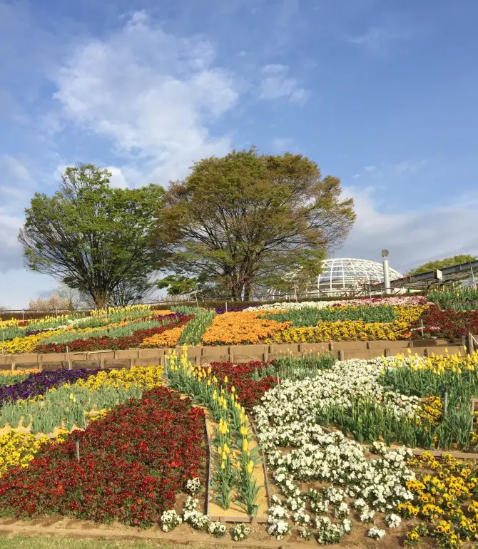Yamanashi
