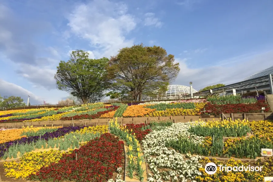 Parc aux fruits de Yamanashi