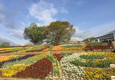 Yamanashi Fuehukigawa Fruit Park