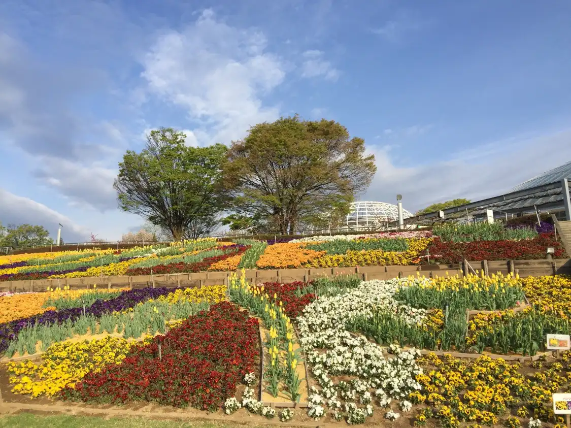 Hotels in der Nähe von Fuefukigawa Fruit Park