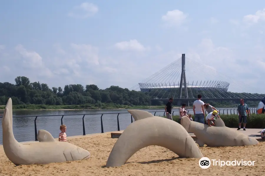 Vistula River Beach