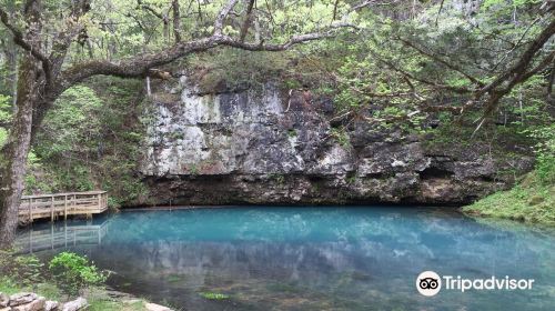 Blue Springs