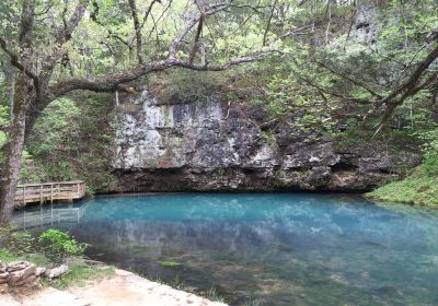 Blue Springs