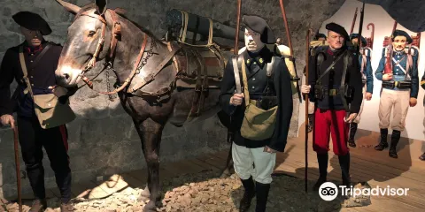 Musée des Troupes de Montagne