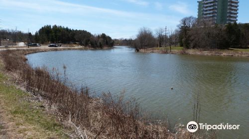 Fairy Lake Park