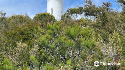 Cape Tourville Lighthouse