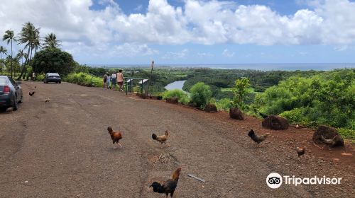 Wailua River State Park