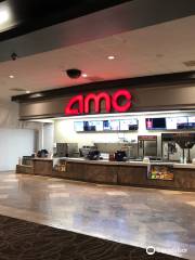 AMC Southpoint 17