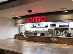 AMC Southpoint 17