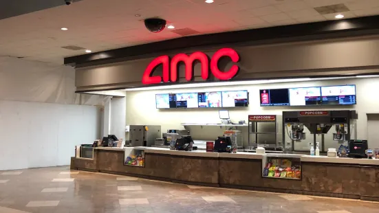 AMC Southpoint 17