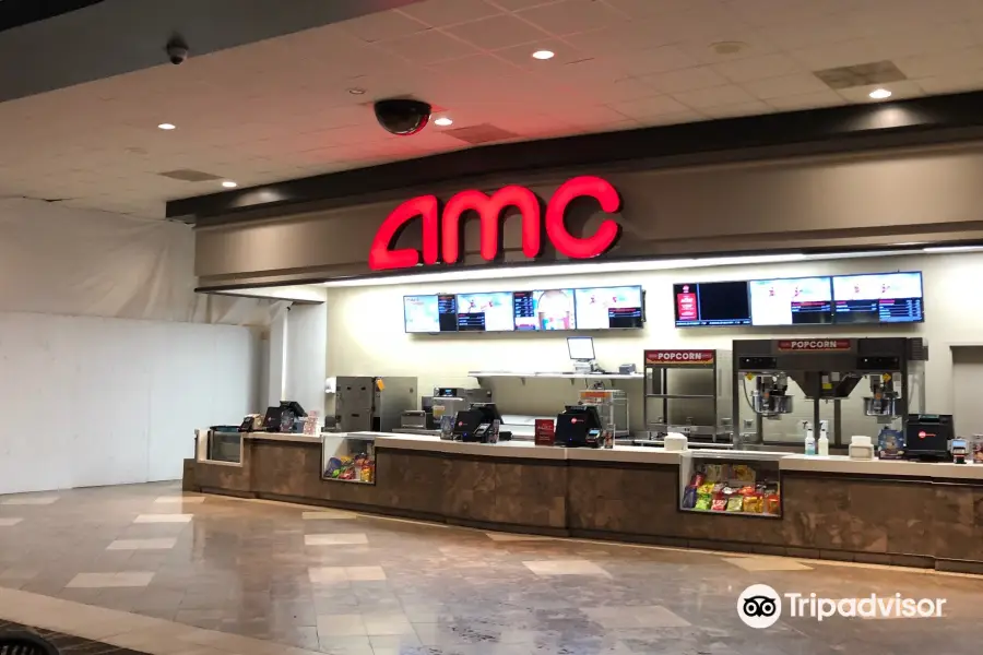 AMC Southpoint 17