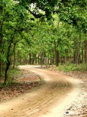 Bhawal National Park, Gazipur