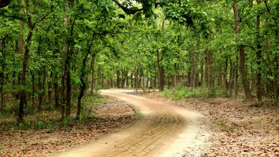 Bhawal National Park, Gazipur