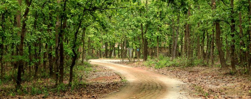 Bhawal National Park, Gazipur