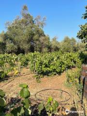 Winery Leivadiotis Corfu