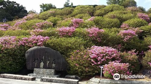 東村村民の森 つつじエコパーク