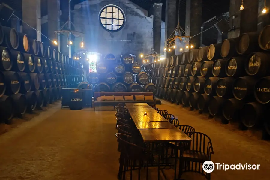 Bodegas Hidalgo La Gitana