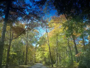 Breaks Interstate Park