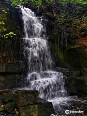 Harmby Waterfall