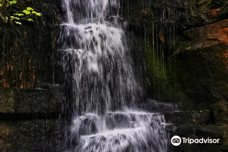 Harmby Waterfall