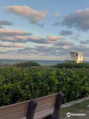 Hobe Sound Beach