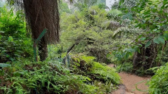 Bukit Melati Nilai