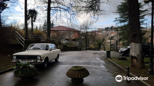 Besik Gabashvili Amusement Park