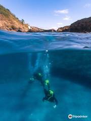Azores Sub Dive Center