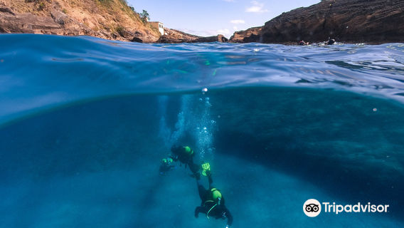 Azores Sub Dive Center