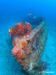 Mermaid Dive Center Aruba