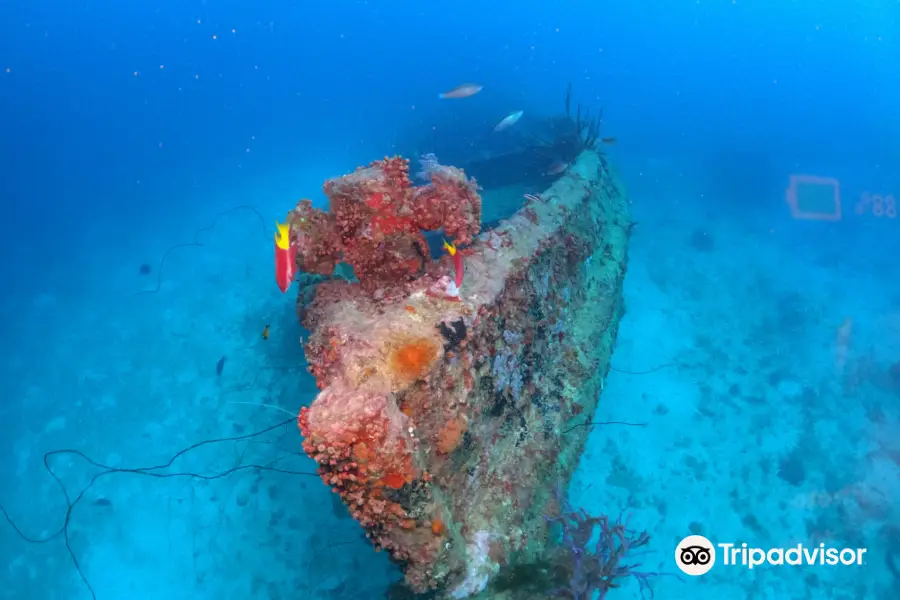 Mermaid Dive Center Aruba